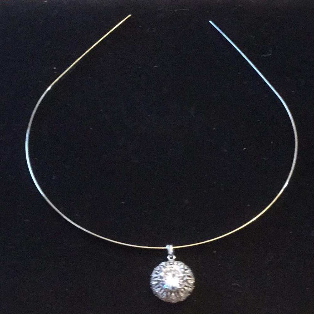 Extra Pics of choker collar
